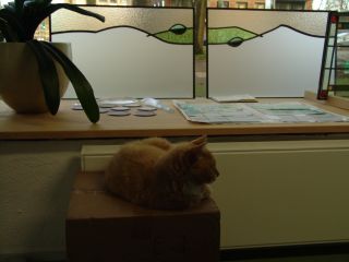 Modern glas in lood in tegen inkijk